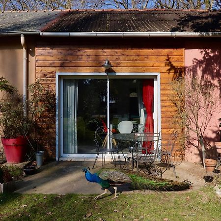 La Faisanderie Saint-Florent-sur-Cher 外观 照片