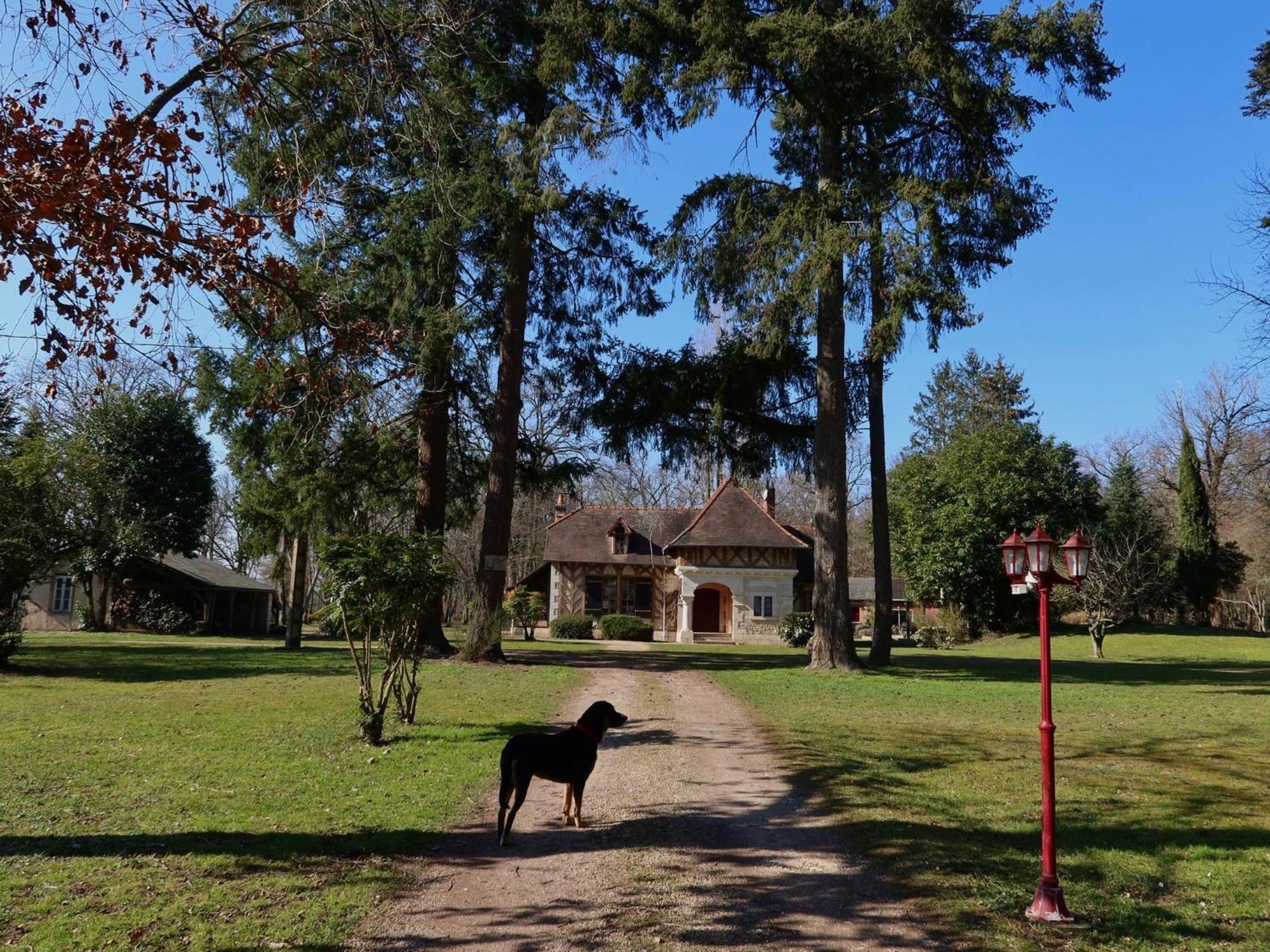 La Faisanderie Saint-Florent-sur-Cher 外观 照片