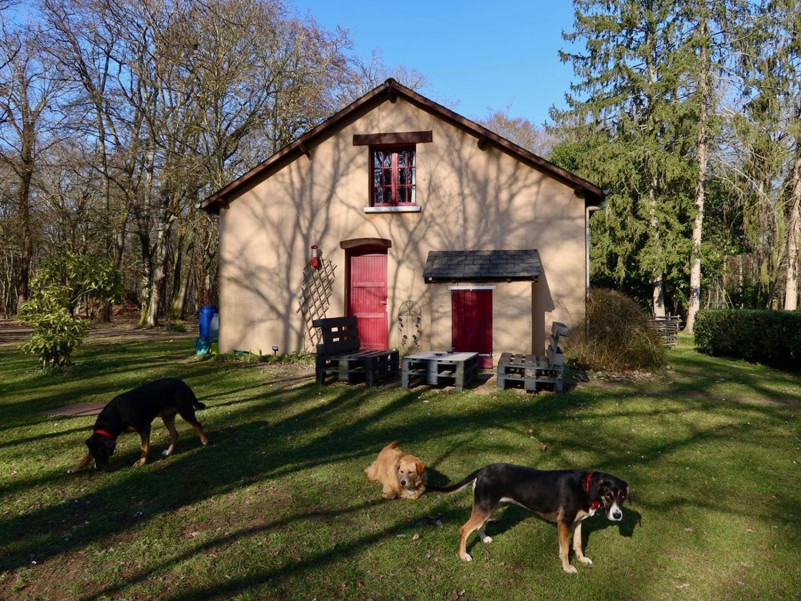 La Faisanderie Saint-Florent-sur-Cher 外观 照片