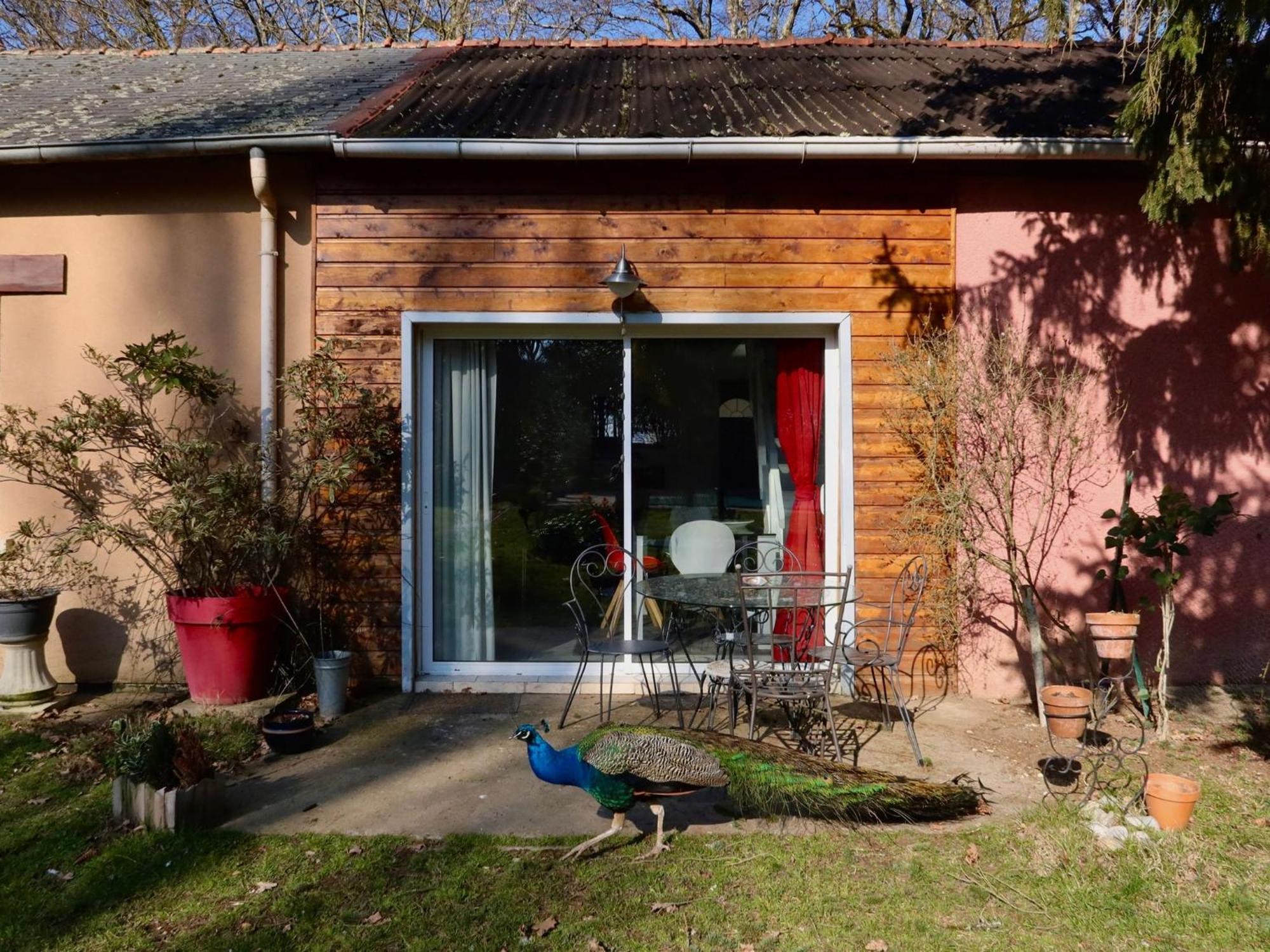 La Faisanderie Saint-Florent-sur-Cher 外观 照片